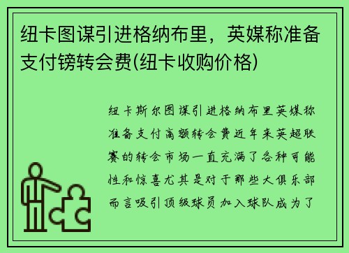 纽卡图谋引进格纳布里，英媒称准备支付镑转会费(纽卡收购价格)